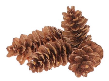 <h4>Deco Pinecone Strobus 3kg Natural</h4>