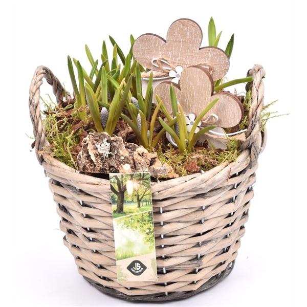 <h4>Wilg mand grijs met oor 18cm</h4>