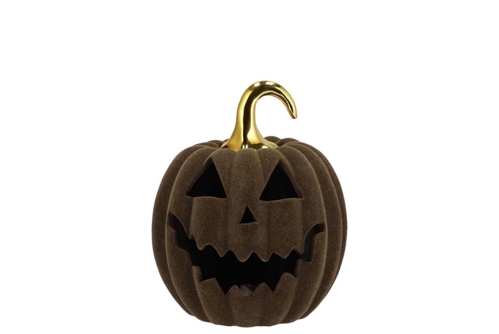 Autumn Flock Scottish Green Pumpkin Face Led 13x13x14cm Nm