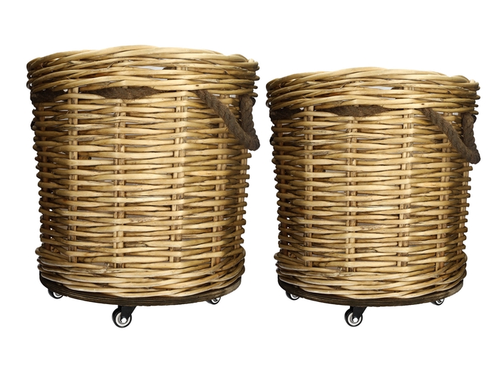 <h4>DF07-730190100 - Set/2 Basket Bravas cylinder d58xh66 natural</h4>