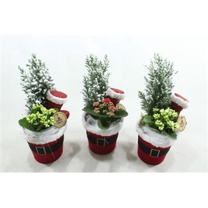 6990 POT SANTA BOOMPJE