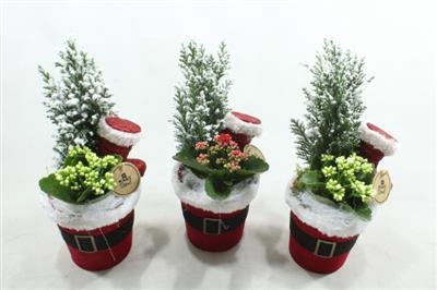 <h4>6990 POT SANTA BOOMPJE</h4>