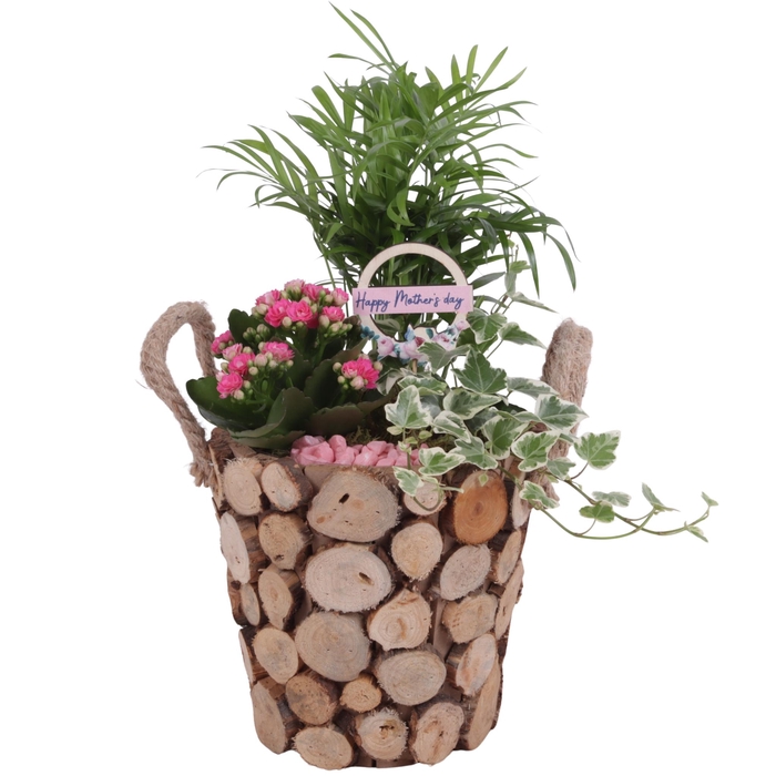 <h4>Mothersday Arr. Indoor Wooden Pot Round Tree Chucks Ø20cm 3PP</h4>