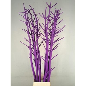 Ferule Kapstok Dark Lilac