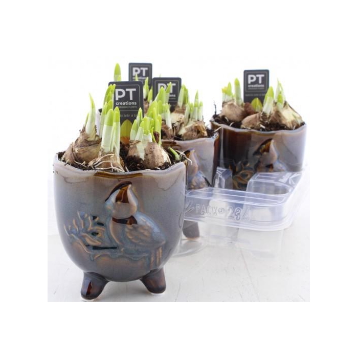 <h4>ARR N TETE A TETE</h4>