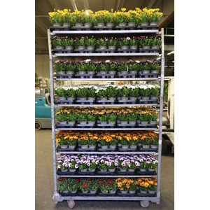 arr8 Osteo Mixk 1 Kleur Per Tray