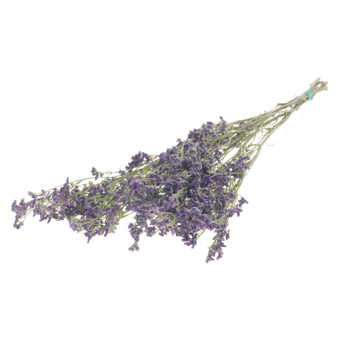 <h4>Limonium natural purple</h4>