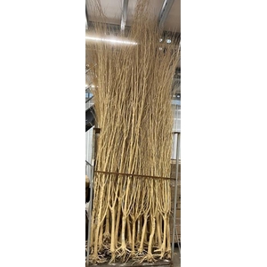 Branch Manzanita Wild L270H270 INV