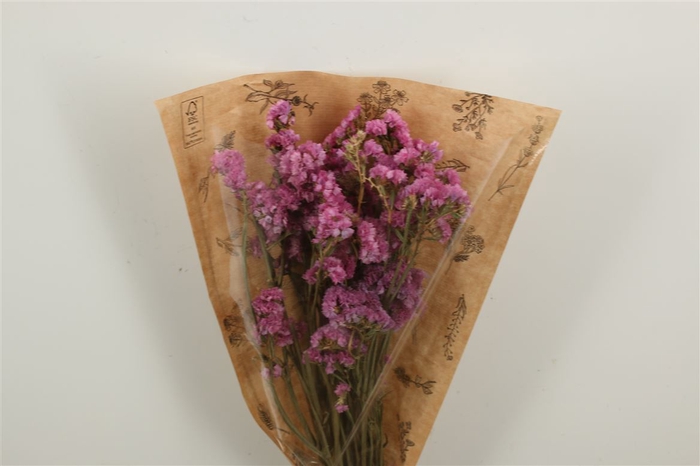 Dried Limonium Statice Pink Bunch