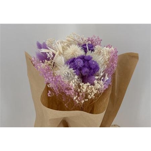 Dr Bqt Bleach Small Light Violet