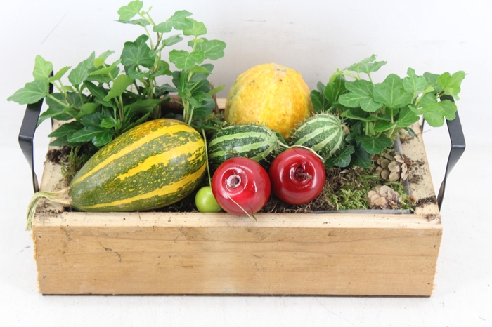 <h4>arr4 Sierfruit JS - Hout tray rechth. 338/3</h4>