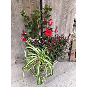 Panier extérieur 5