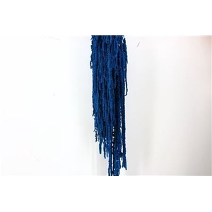 Pres Amaranthus Caud D Blue Bunch