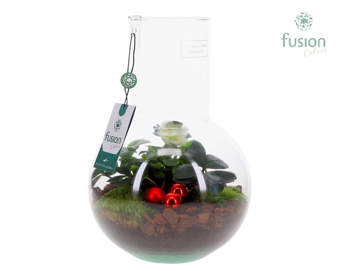 <h4>Green Bottle Suzanne Medium Kerst met Helleborus</h4>