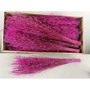 Df Saras Grass 50gr Pink