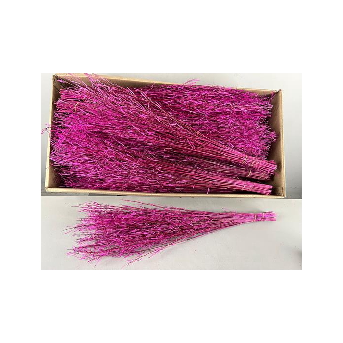 <h4>Df Saras Grass 50gr Pink</h4>