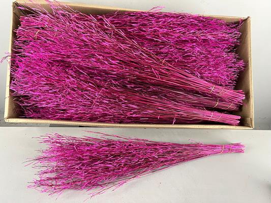 <h4>Df Saras Grass 50gr Pink</h4>