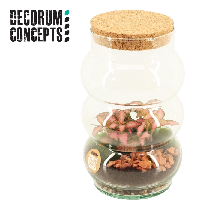 <h4>Terrarium Pluto small (Decorum concepts)</h4>