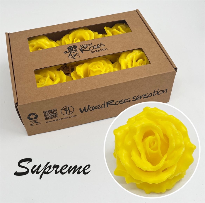 <h4>R Zijde Supreme Geel Wx</h4>