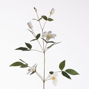 Af Clematis L82cm White