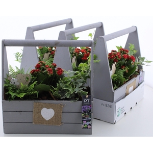ARR TUINPLANTEN