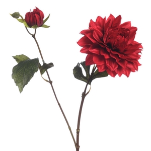 AF Dahlia x2 L63cm Red