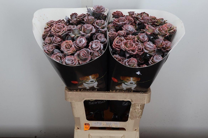 <h4>Wax-Rozen Wax Wit Zilver glitter</h4>