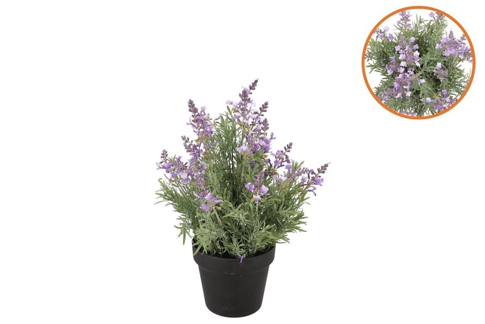 <h4>Silk Lavender Purple In Pot Black S 13x13x22cm</h4>