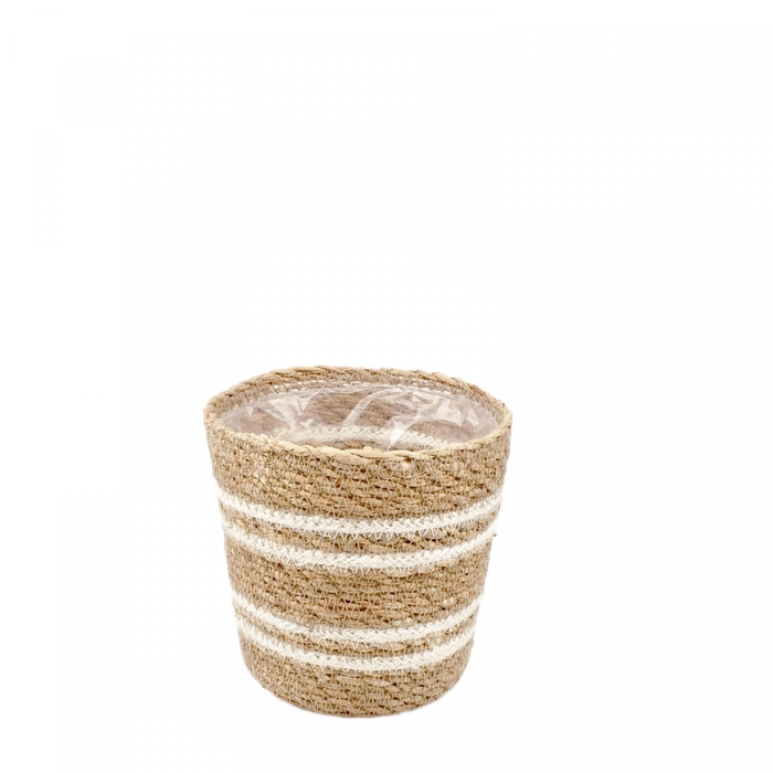 <h4>Baskets Conical pot d13*13cm</h4>