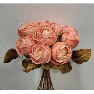 AF Rosa Dry Bnd x10 27cm Pink