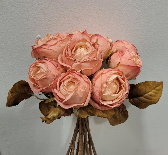 AF Rosa Dry Bnd x10 27cm Pink