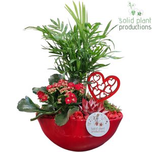 CE005 Evelyn Red VM