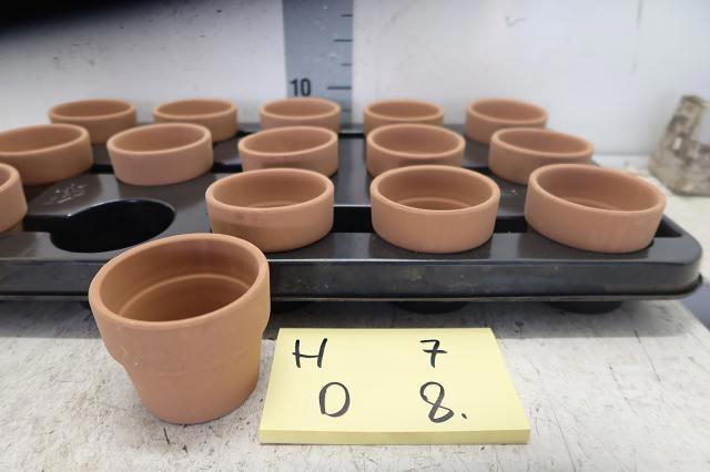 <h4>HUIS EN TUINDECO H%</h4>