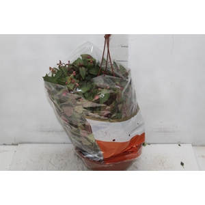 BRINCO DE PRINCESA C21