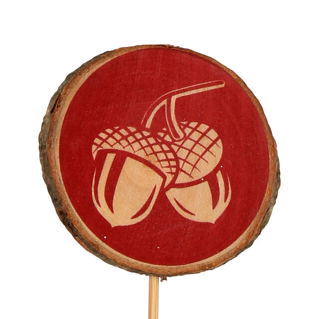 <h4>Bijsteker Acorn hout 6cm+12cm stok rood</h4>
