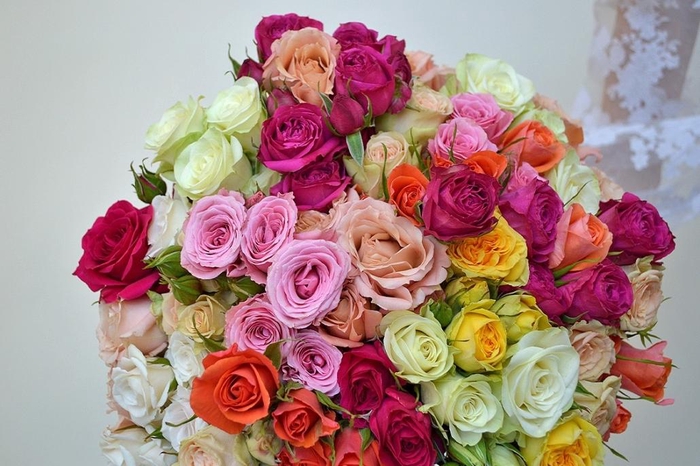 <h4>R TR SPRAY MIX</h4>