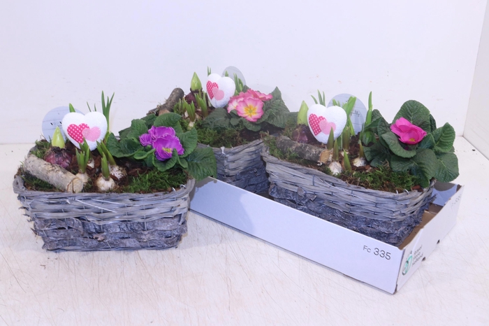 <h4>ARR TUINPLANTEN</h4>