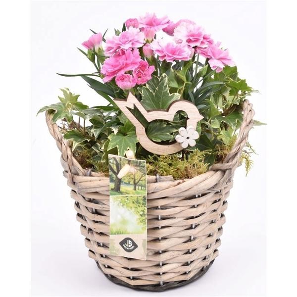 <h4>Wilg mand grijs met oor 14cm</h4>