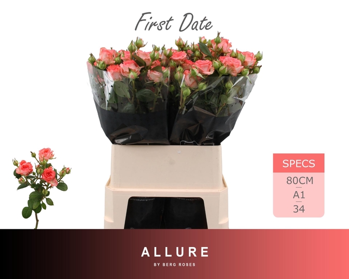 <h4>R TR FIRST DATE</h4>