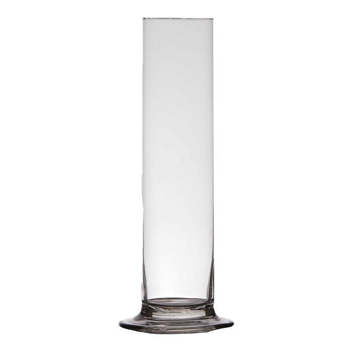 <h4>Glas Cilinder/voet d06*30cm</h4>