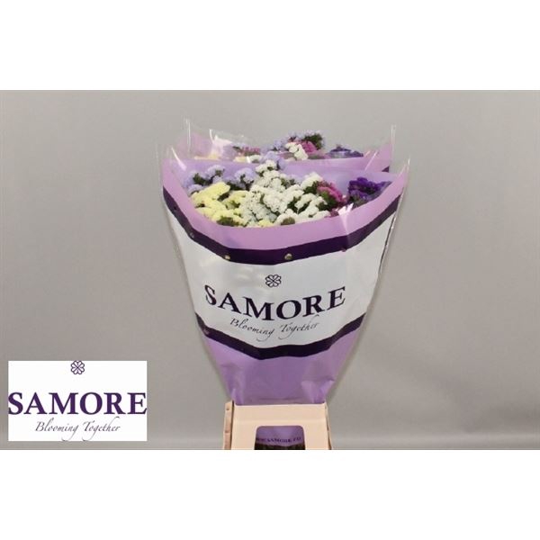 <h4>Limonium sinuatum 'Mix'</h4>