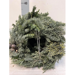 KRANS HALF GEBOND H%