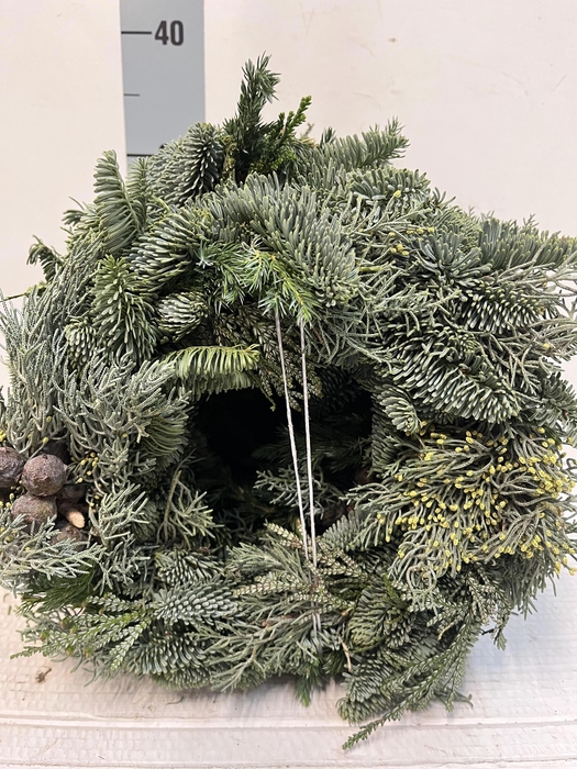 <h4>KRANS HALF GEBOND H%</h4>