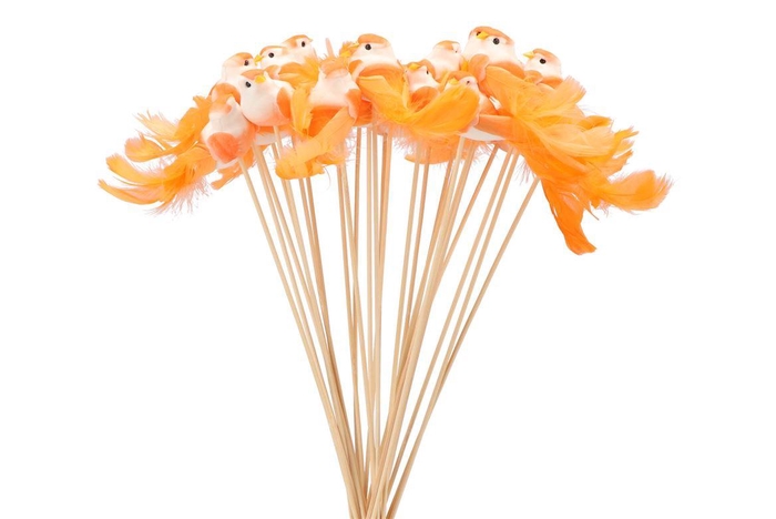 Pick Bird On Stick Orange P/1 11x4x50cm
