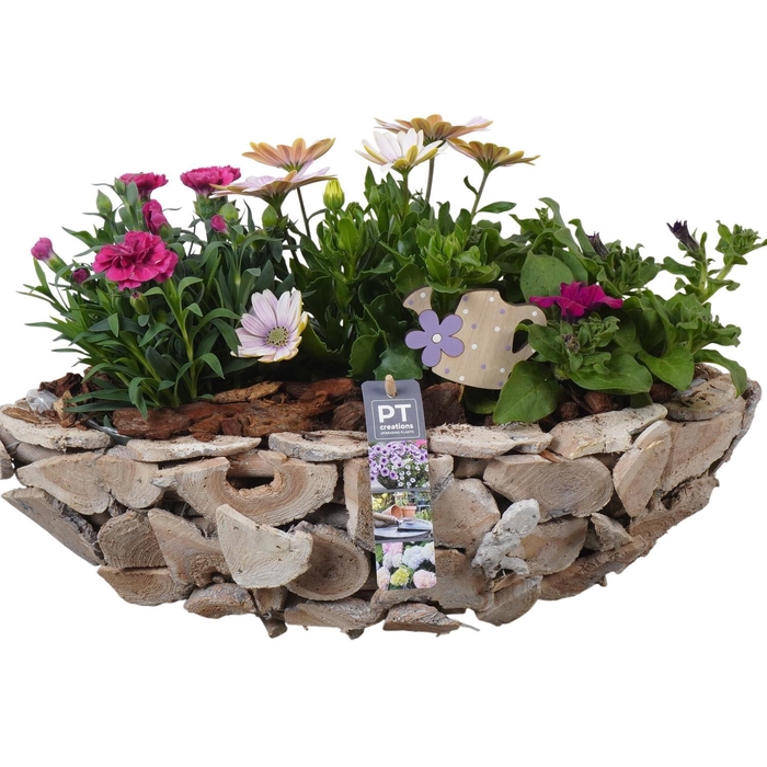 <h4>PTPP6998 Arrangement Patio in houten bak</h4>