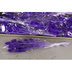 DF Dipsacus Milka Bs 130g