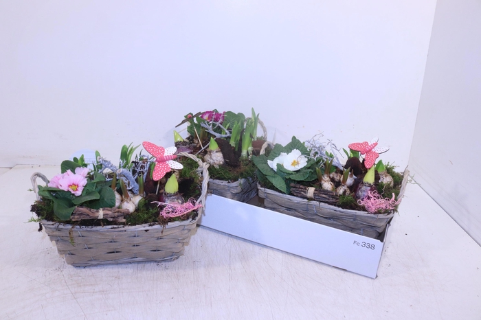 <h4>ARR TUINPLANTEN</h4>