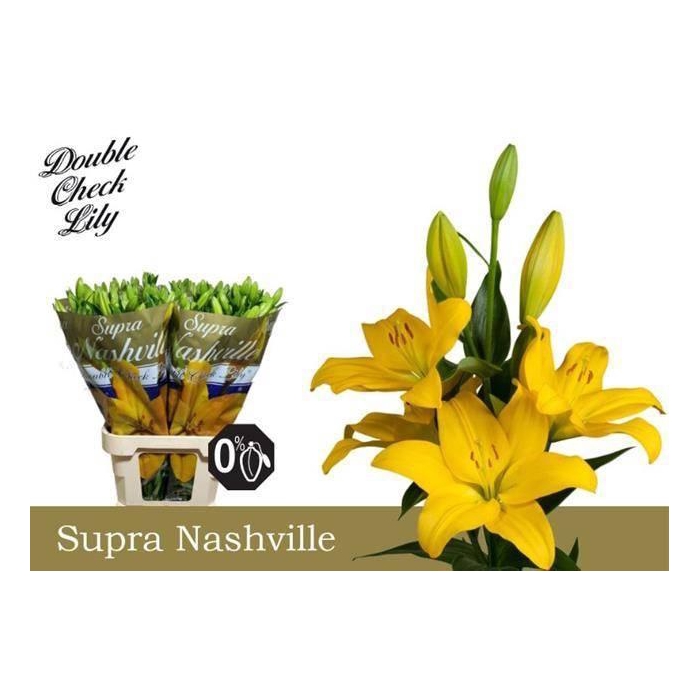 <h4>Li La Nashville</h4>