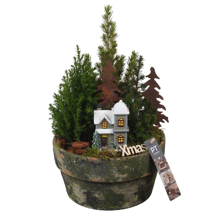 <h4>Christmas Arrangement 21Ø 36cm</h4>