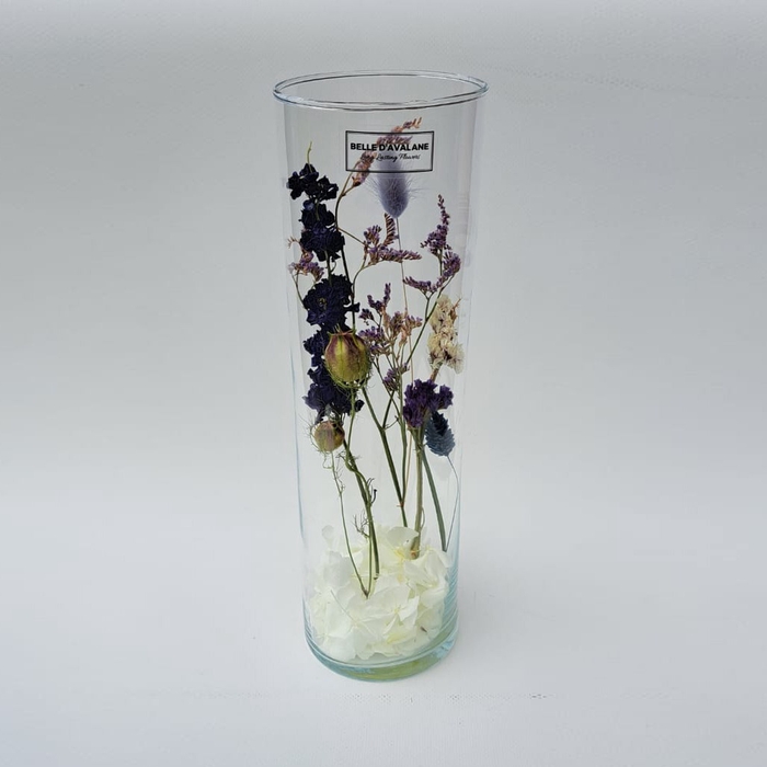 Cilinder d9x30h droog lila-blauw